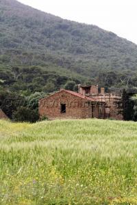 Maison de campagne abandonnée, Commune El Mersa (W. Chlef)