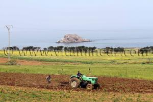 Ilot Colombi, Commune El Mersa (W. Chlef)