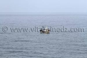 Bateau de Pêche Commune El Mersa (W. Chlef)