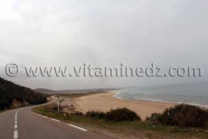 Plage El Dechria, Commune Dahra, (W. Chlef)