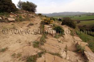 Escaliers d\'une ville romaine inconnue enfouie sous le Cimetière de Sidi Ali Ben Aliya à Tafraout (Commune Abou El Hassan, W. Chlef)