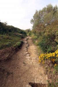 Allées terrassées d\'une Ville romaine inconnue enfouie sous le Cimetière de Sidi Ali Ben Aliya à Tafraout (Commune Abou El Hassan, W. Chlef)