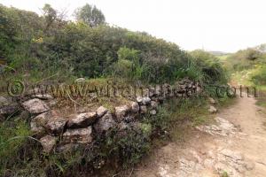 Ville romaine inconnue enfouie sous le Cimetière de Sidi Ali Ben Aliya à Tafraout (Commune Abou El Hassan, W. Chlef)