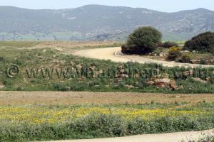 Ville romaine inconnue enfouie sous le Cimetière de Sidi Ali Ben Aliya à Tafraout (Commune Abou El Hassan, W. Chlef)