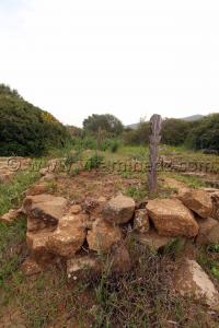 Tombes avec épitaphes en bois au Cimetière de Sidi Ali Ben Aliya à Tafraout (Commune Abou El Hassan, W. Chlef)