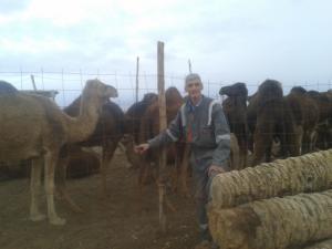 benchou_100@yahoo.fr