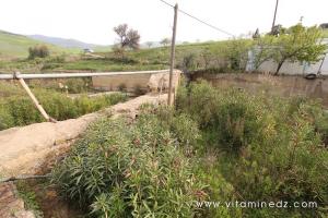 Aqueduc de Ghbel, vestiges romains (Commune Talassa, W. Chlef) ou ce qu\'il en reste