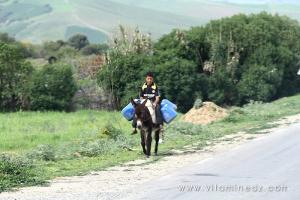 Approvisionnement d\'eau à dos d\'âne à Boukirate, commune de Talassa (W. Chlef)
