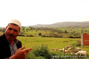 En arrière plan les Tombeaux de l\'époque romaine au cimetière de Sidi Mohamed Benziane à Boukirate (commune de Talassa, Wilaya de Chlef)