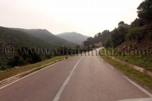 Route vers Talassa commune de la wilaya de Chlef