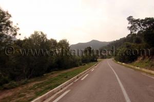 massif très boisé de l\'Oued Roumane Talassa commune de la wilaya de Chlef