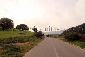 Vers Talassa commune de la wilaya de Chlef