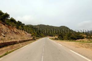 massif très boisé de l\'Oued Roumane Talassa commune de la wilaya de Chlef