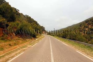 massif très boisé de l\'Oued Roumane Talassa commune de la wilaya de Chlef
