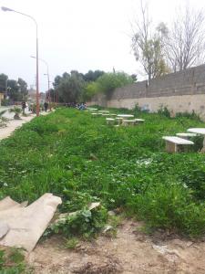 Jardin sauvage à Bréa (Abou Tachfine)