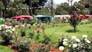 Floralies d'Oran: Inauguration de la 8ème édition, ce jeudi, au Jardin municipal