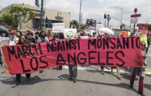 Planète - De Paris à Ouagadougou et Rio, mobilisation de milliers de manifestants contre Monsanto