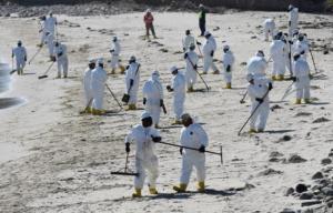 Planète - Marée noire en Californie: Santa Barbara nettoie ses plages