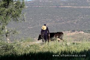 Berger, Oued Ennachef du coté de Tirny