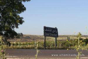 Oued Ennachef du coté de Tirny