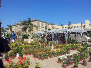 Alger centre, fleuristes de la place 1er Mai