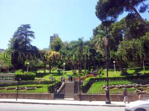 Alger, Telemly, Jardin