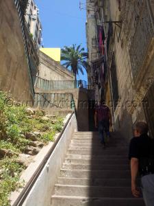 Alger centre, Telemly, escaliers