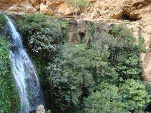 TLEMCEN -  Le parc national veut préserver ses ressources naturelles