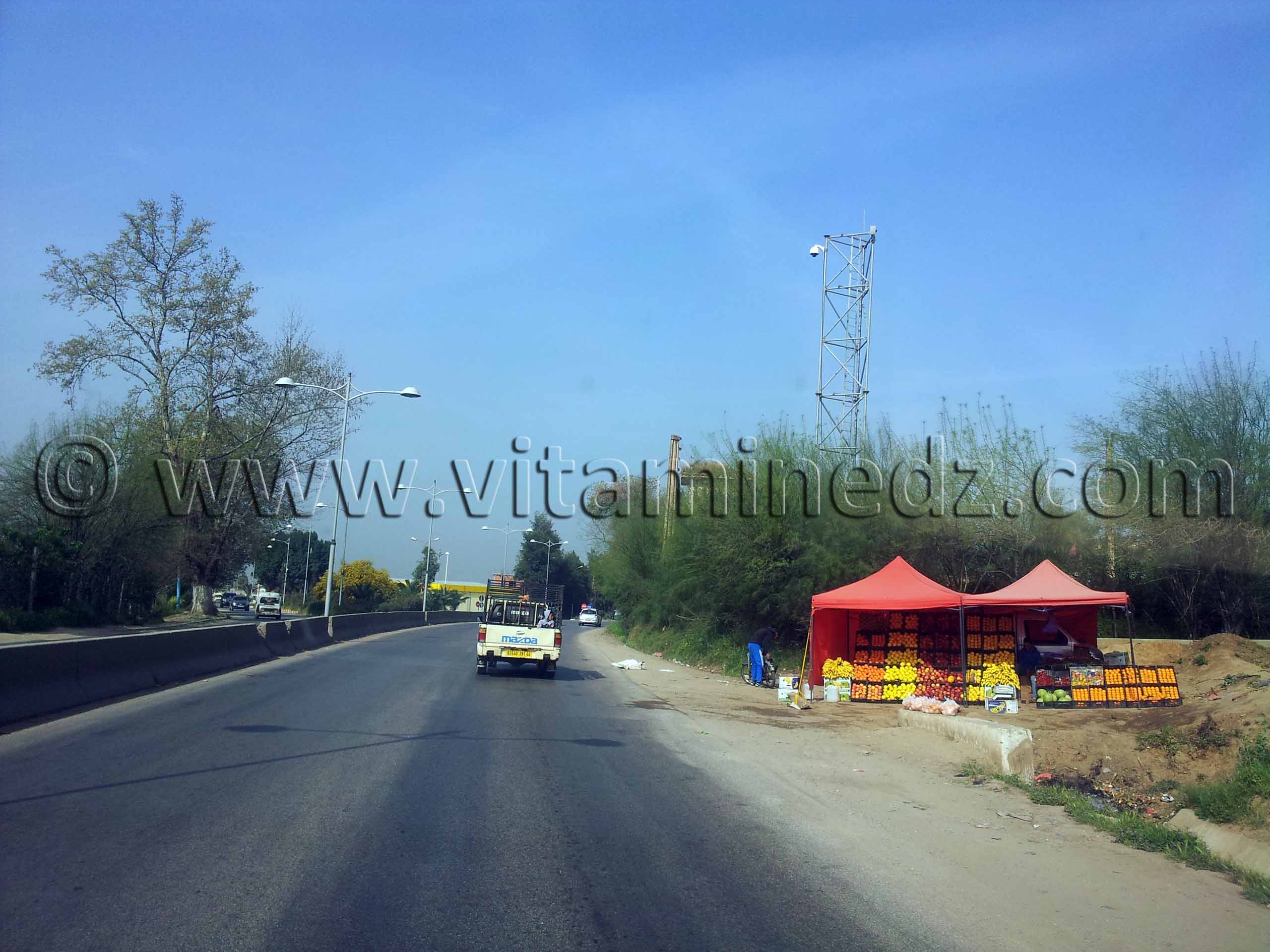 Vendeurs de fruits, Commune de Chlef, Route Nationale N19 menant vers Tenes