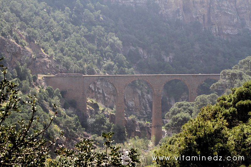 Tenes (W.Chlef) viaducs chemin de fer