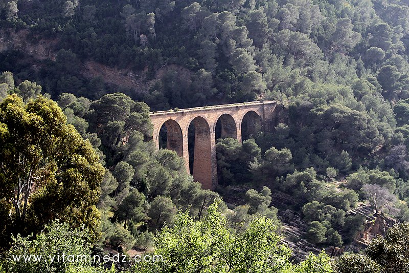 Tenes (W.Chlef) Pont de chemin de fer au sud du Vieux Ténès