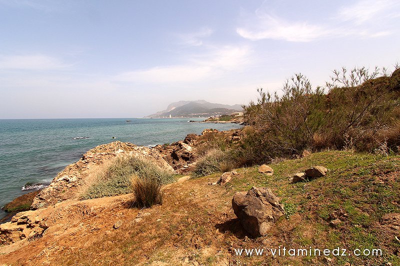 La nécropole phénicienne de Ténes (W. Chlef) tombeaux creusés dans la roche