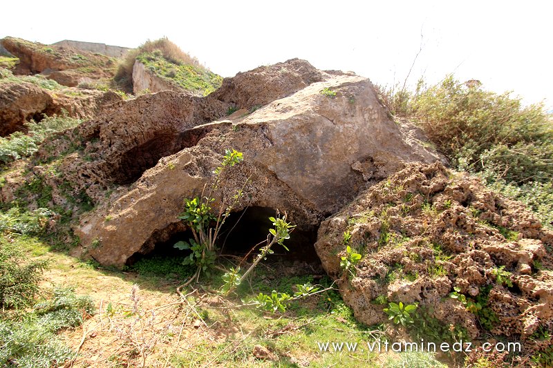 Ensevellie sous la boue, La nécropole phénicienne de Ténes (W. Chlef) tombeaux creusés dans la roche
