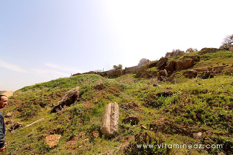 Sous les remblais La nécropole phénicienne de Ténes (W. Chlef) tombeaux creusés dans la roche
