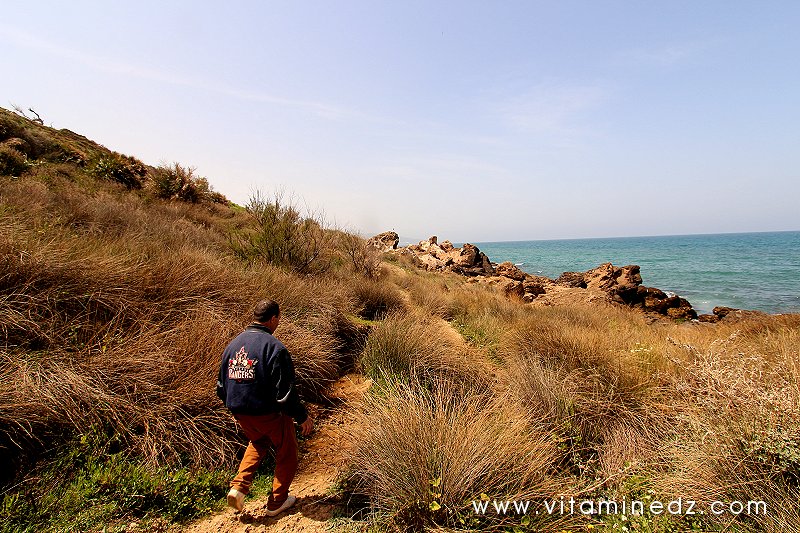 Notre guide nous menant vers La nécropole phénicienne de Ténes (W. Chlef) tombeaux creusés dans la roche