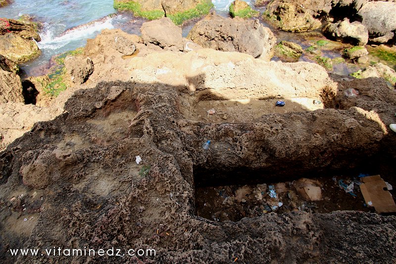 Tobeaux creusés dan les rochers (nécropole phénicienne de Ténes)