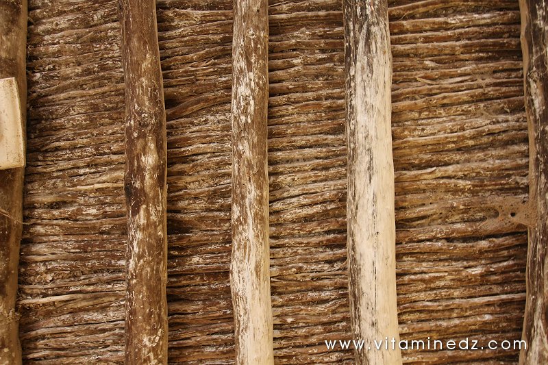 Toiture de la mosquée rembourrée d'algues asséchées, Tenes Lahdar, Mosquée Sidi Belabbes Essebti