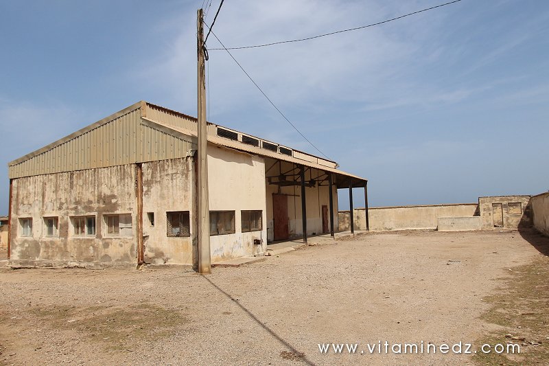 Tenes (W. Chlef) Les abattoirs