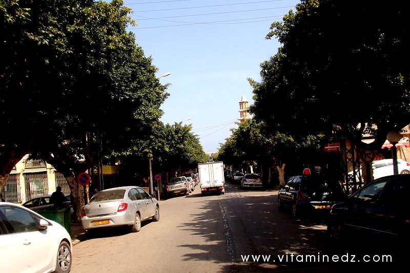 Tenes (W. Chlef) Rue d'Orleansville