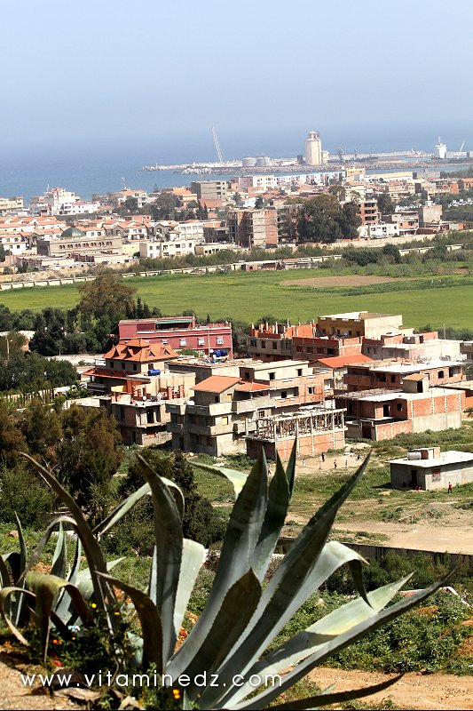 Tenes (W. Chlef) ville cotière accueillante
