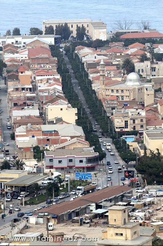 Tenes (W. Chlef) Boulevard Principal