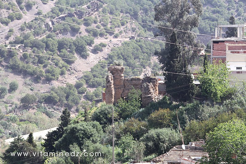 Vieux Tenes (W. Chlef) Bordjs (Tours)