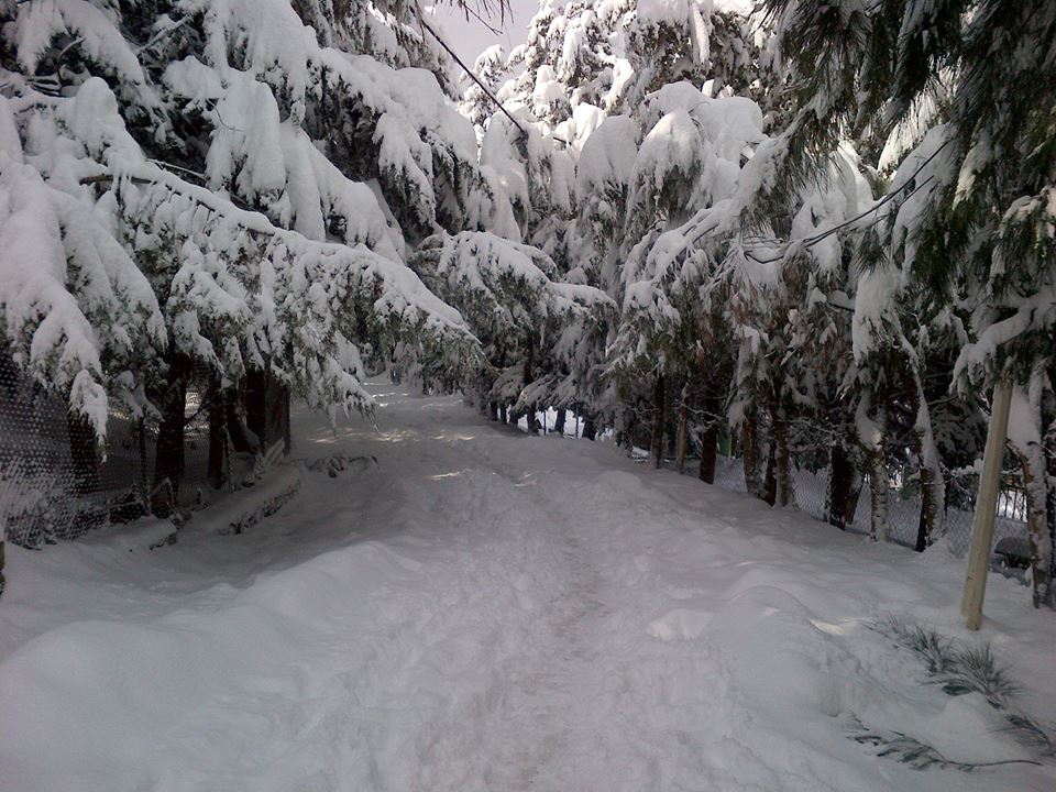 Le village sous la neige - La petite Suisse de la Kabylie