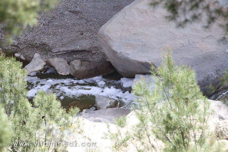 Tenes (W. Chlef) Oued Allalah et son lot de pollution