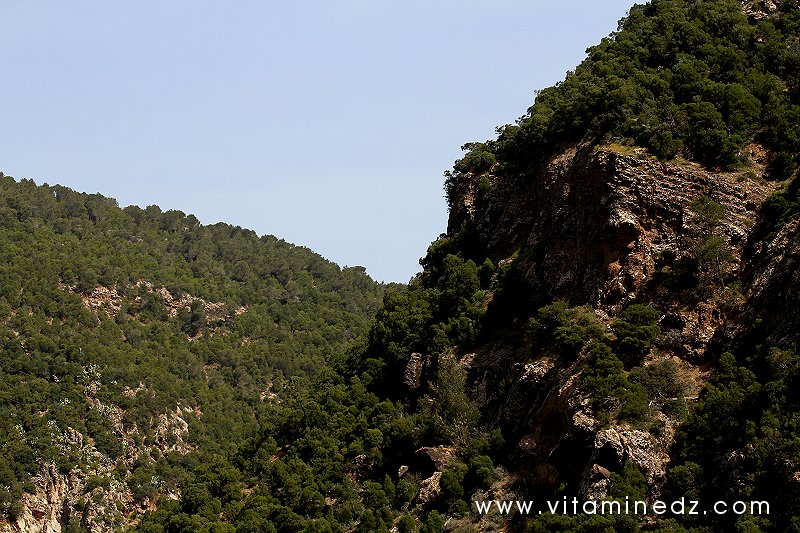 Tenes (W. Chlef) Djbel Kaisser et Oued Allalah