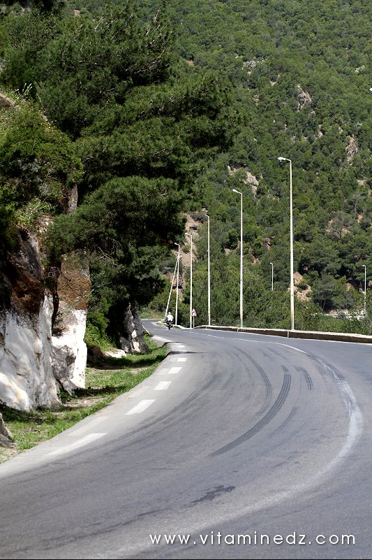 Tenes (W. Chlef) Gorges Kaisser