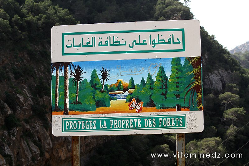 Tenes (W. Chlef) nature menacée