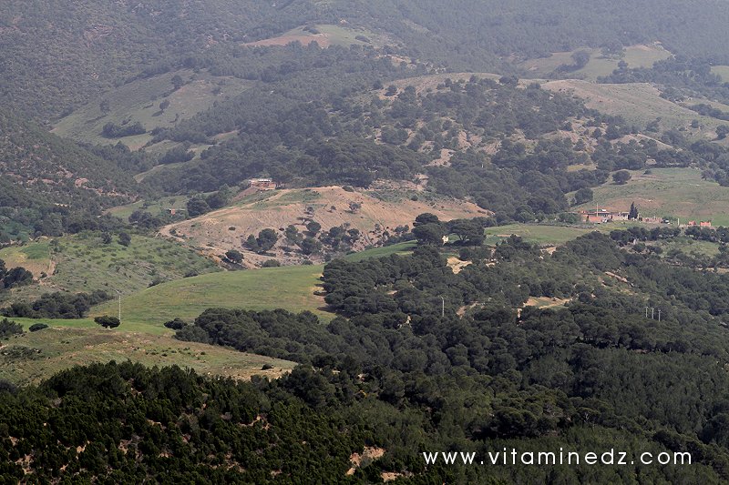 Tenes (W. Chlef) entourée de montagnes et forets