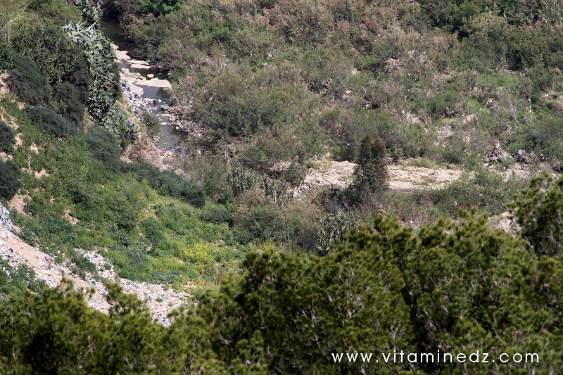 Tenes (W. Chlef) Pont romain sur Oued Allalah