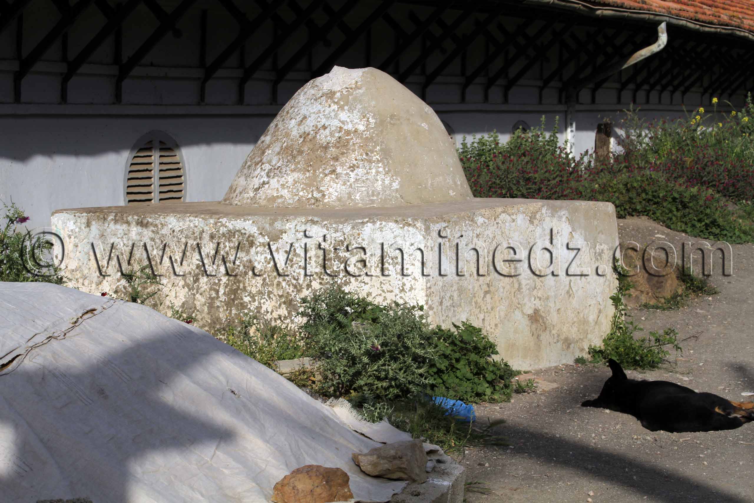 les 100 saints de Tenes (W. Chlef) dont Sidi Bouras (photo)